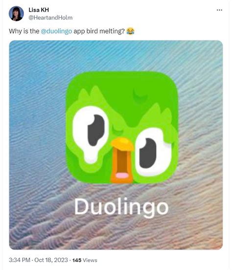 duolingo old face|why is my duolingo melting.